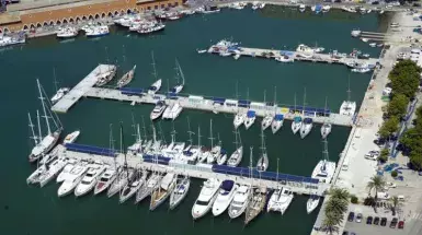 marinatips - La Lonja Marina Charter