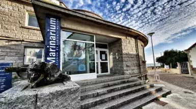 marinatips - Station de biologie marine et Marinarium de Concarneau