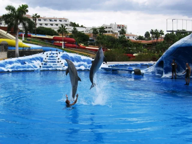 Aqualand Costa Adeje (Costa Adeje) Santa Cruz de Tenerife - Tenerife - Spain