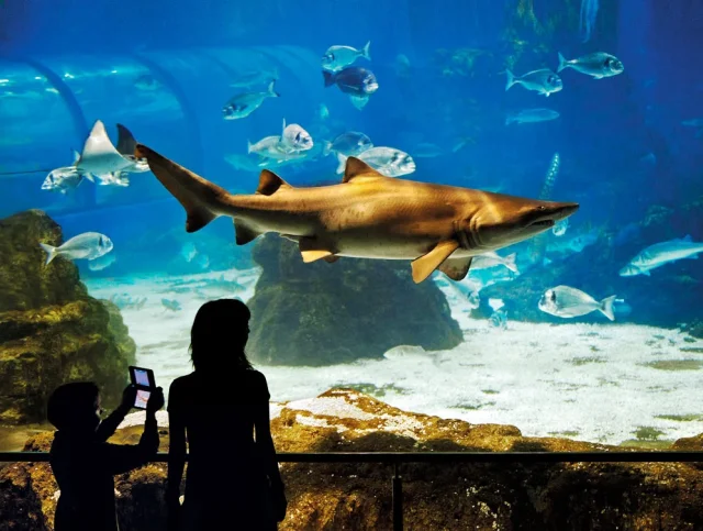 Aquarium Barcelona (Barcelona) Barcelona - Spain