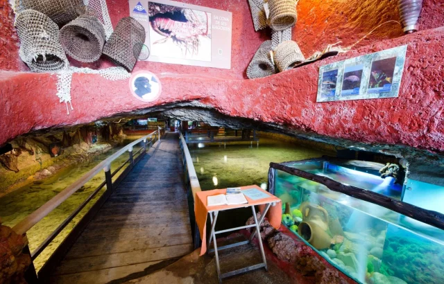Aquarium Cap Blanc (Sant Antoni de Portmany) Ibiza - Ibiza - Spain