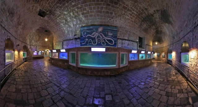 Aquarium Dubrovnik (Dubrovnik) Opčina Dubrovnik - Croatia