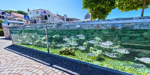 Aquarium (Rogoznica) Opčina Rogoznica - Croatia