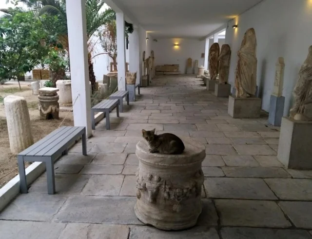 Archaeological Museum of Mykonos (Mykonos) South Aegean - Mykonos - Greece
