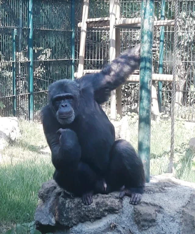 Bioparco di Sicilia (Carini) Palermo - Sicilia - Italy