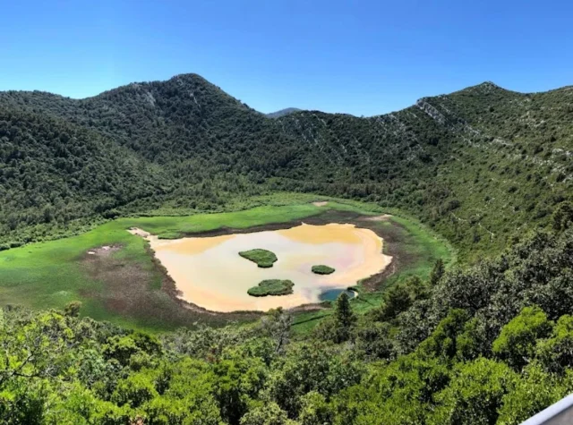 Blatina Kozarica (Kozarica) Opčina Mljet - Mljet - Croatia