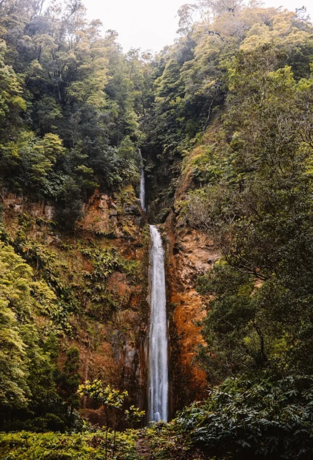 Cascata da Ribeira Quente (Ribeira Quente) São Miguel - São Miguel - Portugal