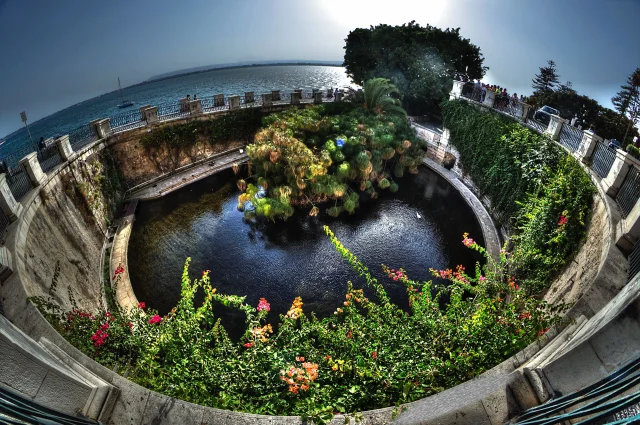 Fonte Aretusa (Siracusa) Syracuse - Sicilia - Italy