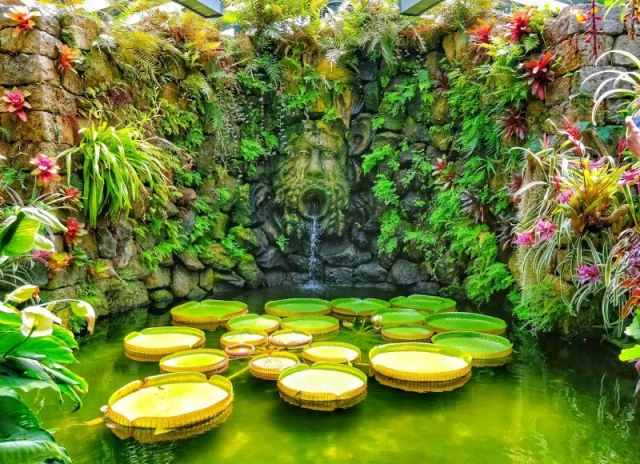 Giardini la Mortella (Forio) Città Metropolitana di Napoli - Ischia - Italy