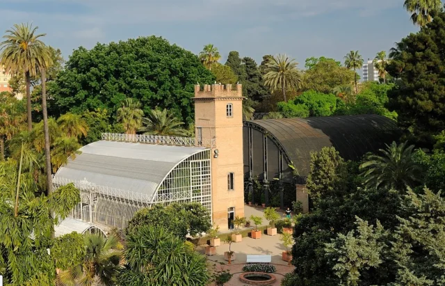 Jardí Botànic de València (Valencia) Valencia - Spain