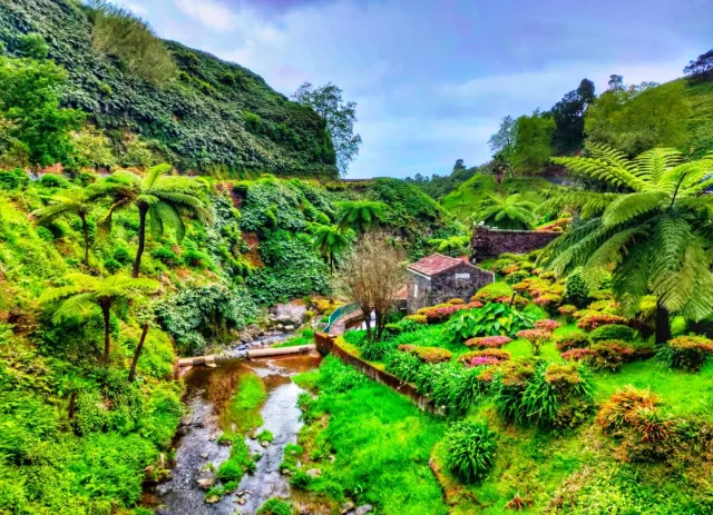 Jardim Botânico da Ribeira do Guilherme (Lomba da Fazenda) São Miguel - São Miguel - Portugal