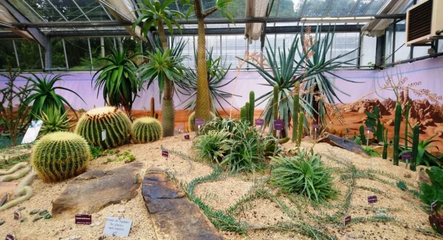 Jardin du Conservatoire botanique national de Brest (Brest) Finistère - France