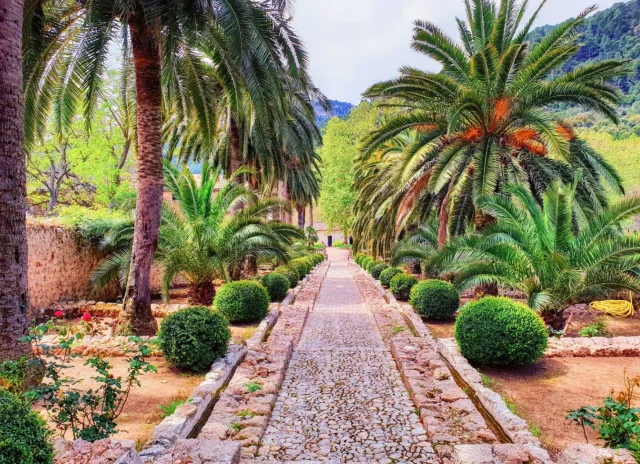 Jardines de Alfabia (Bunyola) Mallorca - Mallorca - Spain