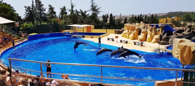 Marineland Catalunya (Palafolls) Barcelona - Spain