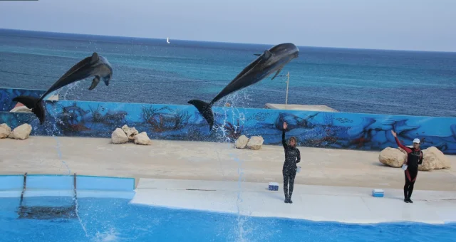 Mediterraneo Marine Park (Naxxar) Naxxar - Marina - Marina