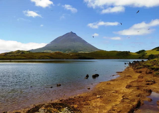 Montanha do Pico - Pico - Pico - Portugal