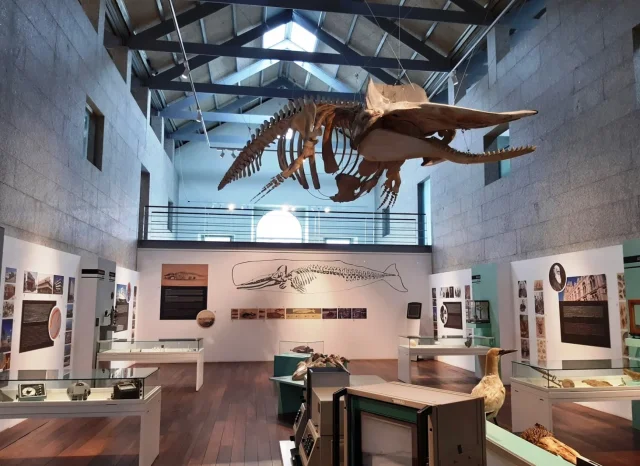 Museo do Mar (Vigo) Pontevedra - Spain