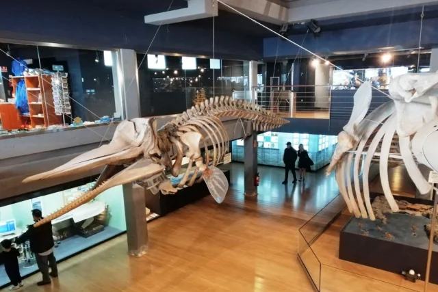 Museo Marítimo del Cantábrico (Santander) Cantabria - Spain