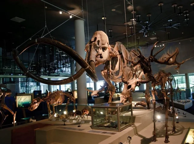 Naturalis Biodiversity Center (Leiden) Leiden - Netherlands