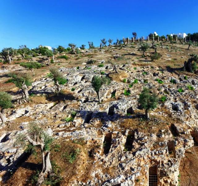 Necròpolis des Puig des Molins (Ibiza) Ibiza - Ibiza - Spain