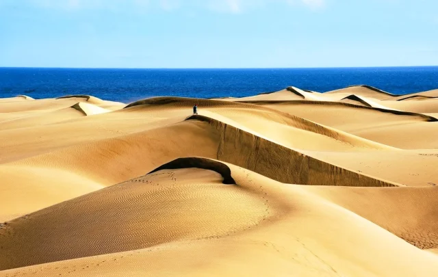 Reserva Natural Especial de Las Dunas de Maspalomas (Maspalomas) Gran Canaria - Gran Canaria - Spain