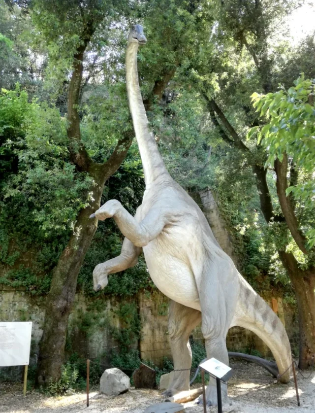 Riserva Naturale Cratere degli Astroni (Napoli) Città Metropolitana di Napoli - Italy