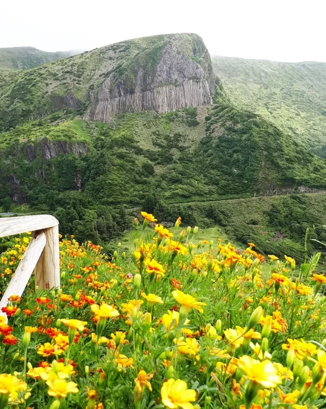 Rocha dos Bordões - Flores - Flores - Portugal