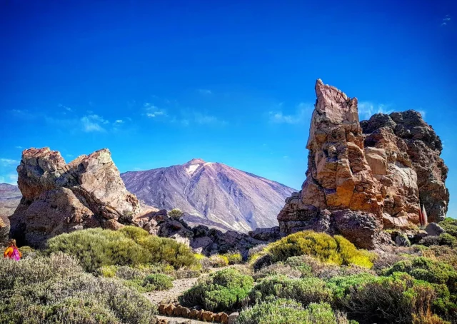 Teide National Park - Santa Cruz de Tenerife - Tenerife - Spain