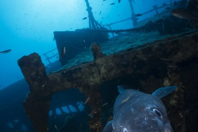 Teti Wreck - Opčina Komiža - Otočič Mali Barjak - Croatia