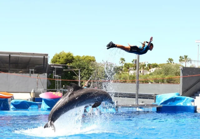 Western Water Park (Magaluf) Mallorca - Mallorca - Spain