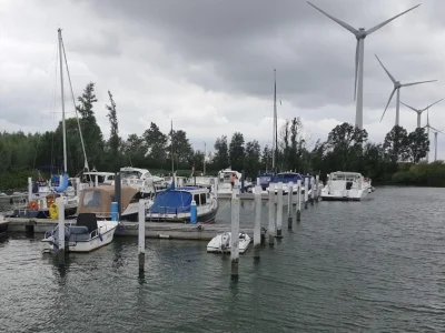 WSV Nieuw-Beijerland (Nieuw-Beijerland) Hoeksche Waard - Netherlands