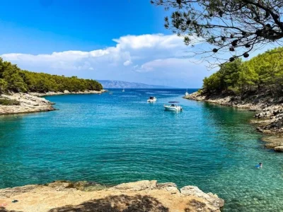 Uvala Maslinica (Vrboska) Opčina Jelsa - Hvar - Croatia
