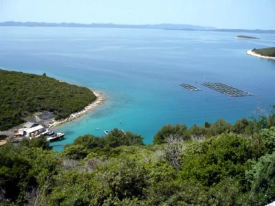 Uvala Pečinska (Ždrelac) Opčina Pašman - Pašman - Croatia