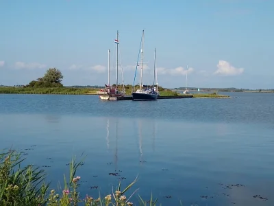 Zandkreekplaat - Middelburg - Zandkreekplaat - Netherlands