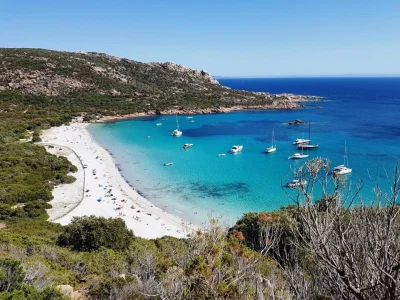 Cala di Roccapina - Corse-du-Sud - Corse - France