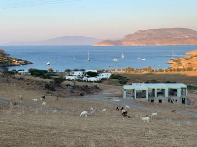 Livadi bay (Schinoussa) South Aegean - Schinoussa - Greece