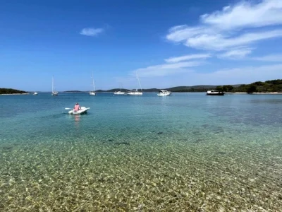 Pantera Slatine (Veli Rat) Opčina Sali - Dugi - Croatia