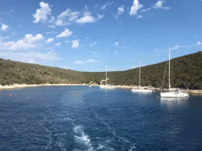 Griparica - Opčina Zadar - Škarda - Croatia