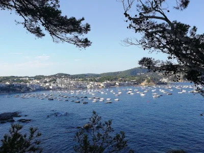 Port Pelegrí (Calella de Palafrugell) Gerona - Spain - Image 1