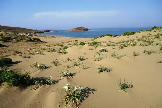 Gomati beach