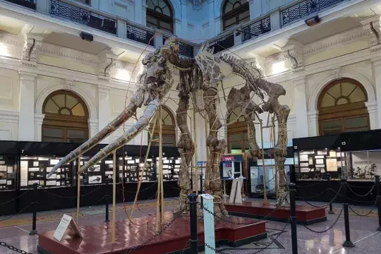 marinatips - Museo Civico di Storia Naturale Giacomo Doria