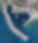 marinatips - Porto di Acciaroli