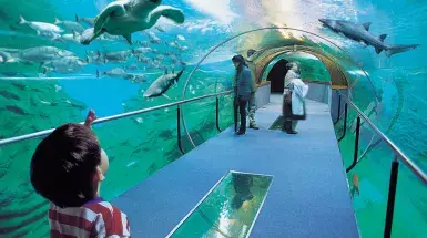 marinatips - Aquarium de San Sebastián