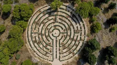 Lavender labyrinth