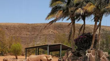 marinatips - Oasis Wildlife Fuerteventura