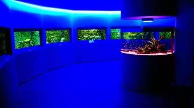 Ocean Aquarium
