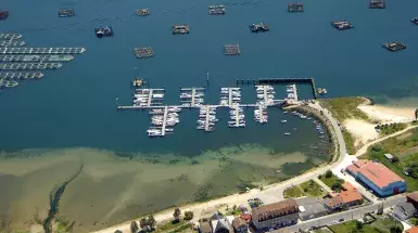 marinatips - Port De Domaio Marina
